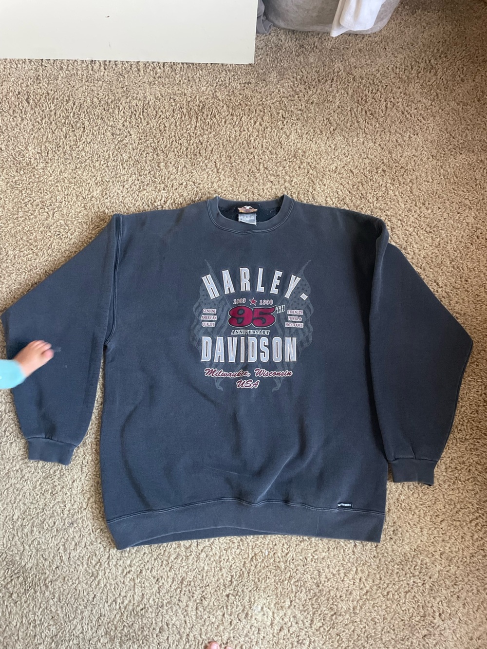 Rare Vintage faded Harley Davidson 95th pull over sweatshirt